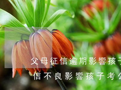 父母征信逾期影響孩子考公檢法嗎-父母征信不良影響孩子考公務(wù)員嗎
