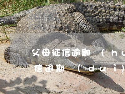 父母征信逾期會(huì)影響孩子嗎-征信逾期對(duì)孩子有什么影響