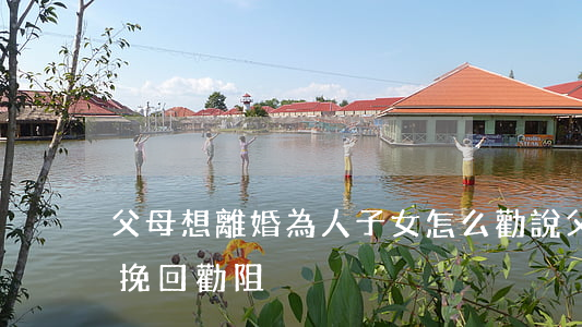 父母想離婚為人子女怎么勸說(父母離婚怎么挽回勸阻)