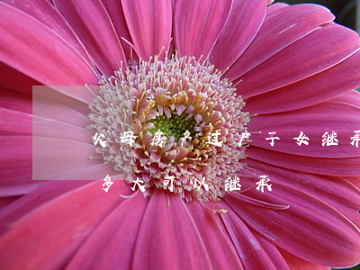 父母房产过户子女继承吗(房产过户子女,子女多大可以继承)