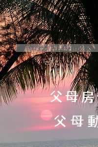 父母房子動(dòng)遷兄弟兩人怎么分(父母動(dòng)遷房離婚怎么分配)
