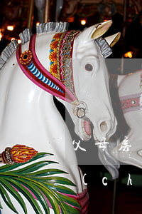 父母房屋繼承怎么公正(父母財(cái)產(chǎn)公正繼承)