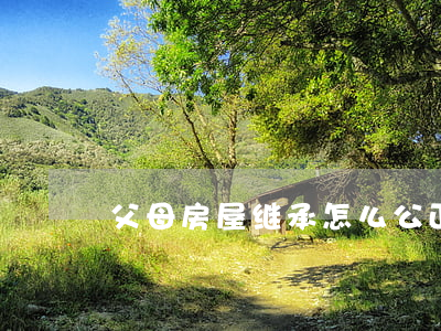 父母房屋继承怎么公正(父母财产公正继承)