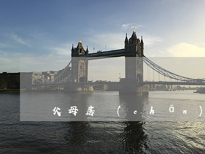 父母房產(chǎn)兄妹有糾紛怎么解決