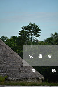 父母房產(chǎn)繼承公證需要什么證件(繼承父母房產(chǎn)遺產(chǎn)公證書)