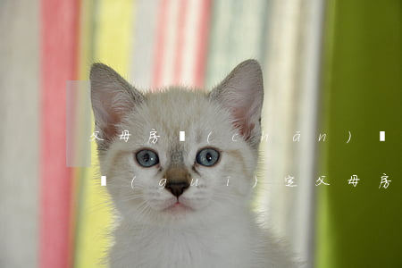 父母房產(chǎn)繼承法2021年新規(guī)定(父母房產(chǎn)繼承法2021年新規(guī)定)