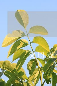 父母支付寶逾期了會(huì)影響我嗎