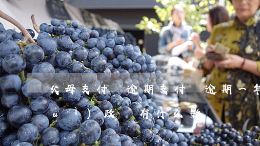 父母支付寶逾期(支付寶逾期一年不還對(duì)政審有什么影響)