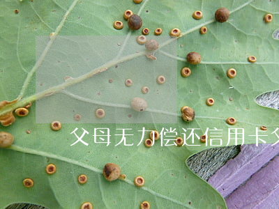 父母无力偿还信用卡(父母欠信用卡不还)