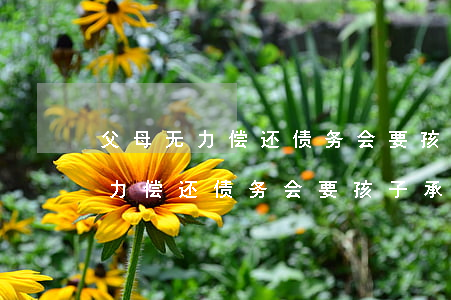 父母无力偿还债务会要孩子承担吗-父母无力偿还债务会要孩子承担吗知乎