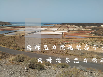 父母无力偿还债务子女帮还需要签什么协议-父母债务无力偿还需要子女还吗