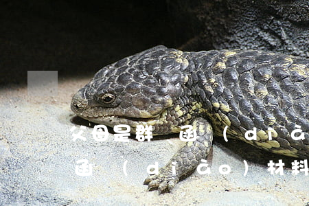 父母是群眾函調(diào)怎么弄(父母的函調(diào)材料填寫要求)