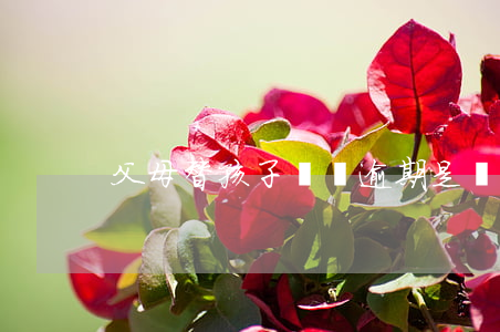 父母替孩子還貸逾期是誰的征信-