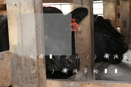 父母會(huì)偷孩子的錢嗎(父母會(huì)偷孩子的錢嗎)