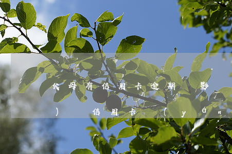 父母有信用卡逾期會影響孩子上學(xué)嗎（信用卡嚴(yán)重逾期影響孩子上學(xué)嗎）