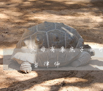 父母有案底子女可以当律师吗(有案底能不能当律师)