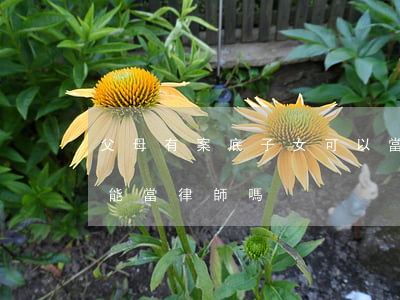 父母有案底子女可以當律師(父母有前科孩子能當律師嗎)
