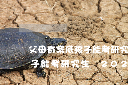 父母有案底孩子能考研究生嗎(父母有案底孩子能考研究生嗎2021年)