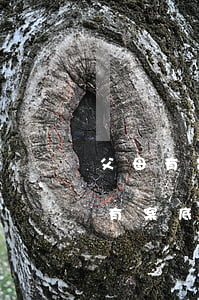 父母有案底孩子能考研究生嗎(考研政審父母有案底對孩子有影響嗎)