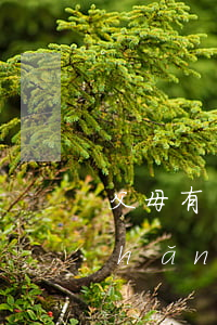 父母有權(quán)繼承子女的遺產(chǎn)嗎(什么情況下不能繼承父母遺產(chǎn))