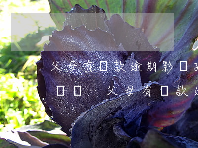 父母有貸款逾期影響孩子公務(wù)員政審嗎-父母有貸款逾期影響孩子公務(wù)員政審嗎知乎