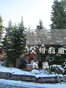父母有逾期3個月還上了能當(dāng)兵嗎-父母有逾期影響孩子當(dāng)兵嗎