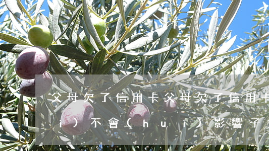 父母欠了信用卡(父母欠了信用卡錢會(huì)不會(huì)影響子女當(dāng)老師)