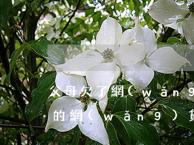 父母欠了網(wǎng)貸打給子女(子女欠的網(wǎng)貸該父母還嗎)