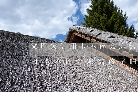 父母欠信用卡不还会冻结孩子吗-父母欠信用卡不还会冻结孩子吗怎么办