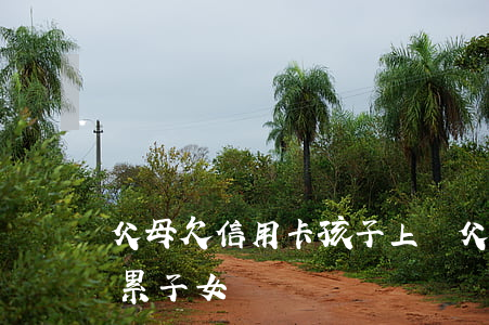 父母欠信用卡孩子上學(父母欠信用卡錢會連累子女讀書嗎)