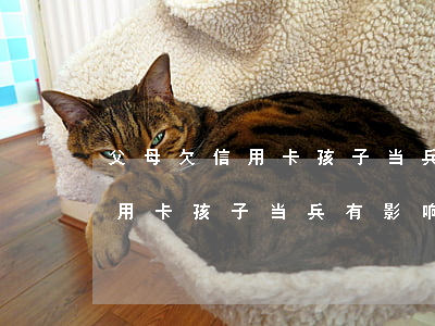 父母欠信用卡孩子当兵有影响吗-父母欠信用卡孩子当兵有影响吗知乎