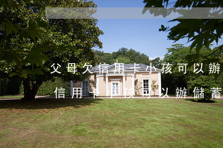 父母欠信用卡小孩可以辦儲蓄卡嗎-父母欠信用卡小孩可以辦儲蓄卡嗎知乎