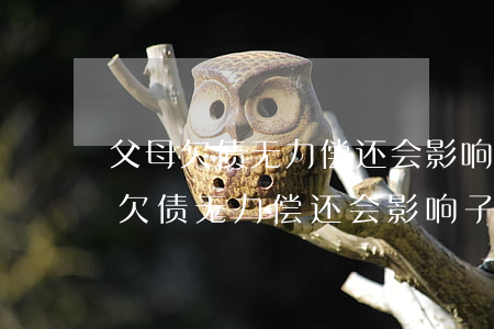 父母欠债无力偿还会影响子女政审吗-父母欠债无力偿还会影响子女政审吗知乎