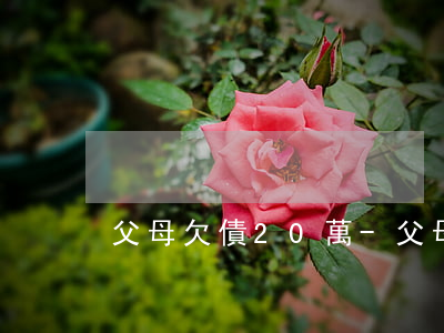 父母欠債20萬-父母欠債20萬多嗎