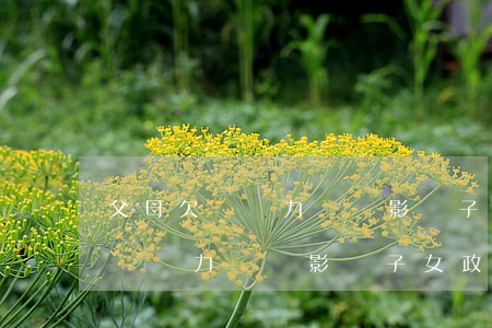 父母欠債無力償還影響子女政審不-父母欠債無力償還影響子女政審不過怎么辦