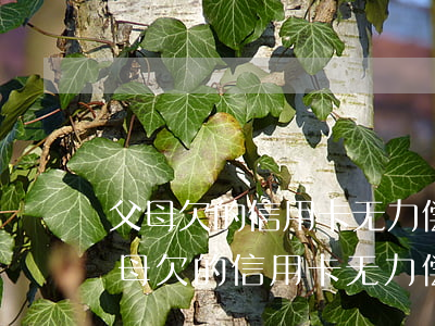 父母欠的信用卡无力偿还 子女需要还吗-父母欠的信用卡无力偿还子女需要还吗