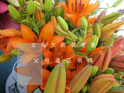 父母欠的花唄會(huì)讓子女還(可以幫父母還花唄嗎)