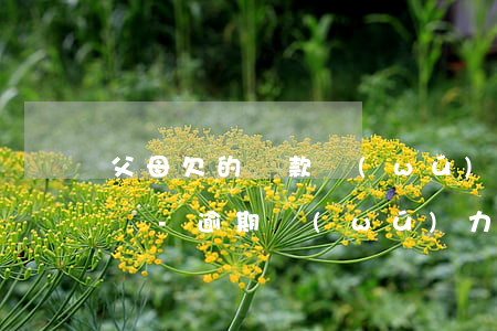 父母欠的貸款無(wú)力償還 子女需要還嗎-逾期無(wú)力還款最佳處理方法