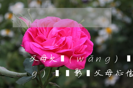 父母欠網(wǎng)貸上征信(網(wǎng)貸會影響父母征信嗎)