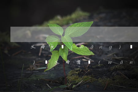 父母欠網(wǎng)貸兒女考公務(wù)員(父母借網(wǎng)貸影響考公務(wù)員)
