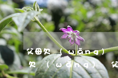 父母欠網(wǎng)貸兒女該怎么還(女兒欠網(wǎng)貸父母必須還嗎)