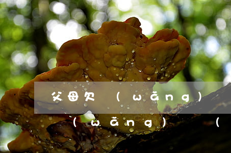 父母欠網(wǎng)貸影響孩子讀書(拖欠網(wǎng)貸會(huì)影響子女上學(xué)嗎)