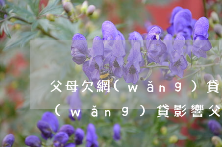 父母欠網(wǎng)貸怎么處理(自己欠網(wǎng)貸影響父母貸款嗎)