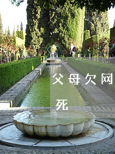 父母欠网贷孩子会被劝退吗(欠网贷父母被气死)