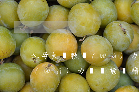 父母欠貸款無(wú)力償還 父母欠貸款無(wú)力償還能離婚嗎