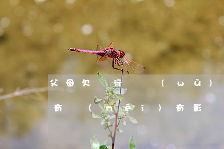 父母欠銀行債務(wù)對(duì)兒女有沒(méi)有影響-父母欠銀行債務(wù)對(duì)兒女有沒(méi)有影響呢