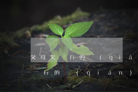 父母欠銀行的錢(qián)怎么辦(父母欠銀行的錢(qián)對(duì)子女有影響嗎)