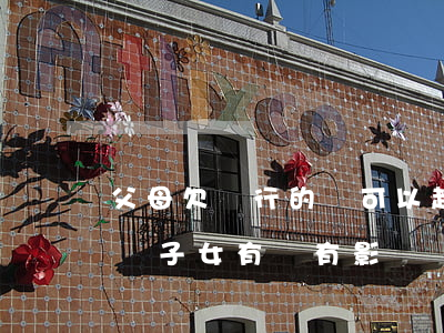 父母欠銀行的錢可以起訴嗎-父母欠了銀行錢,子女有沒有影響