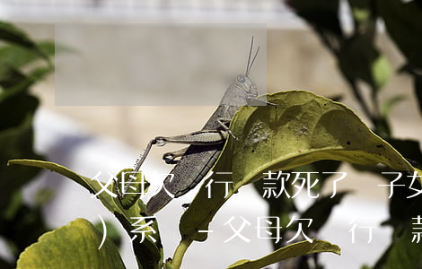 父母欠銀行貸款死了 與子女有關(guān)系嗎-父母欠銀行貸款死了 與子女有關(guān)系嗎知乎