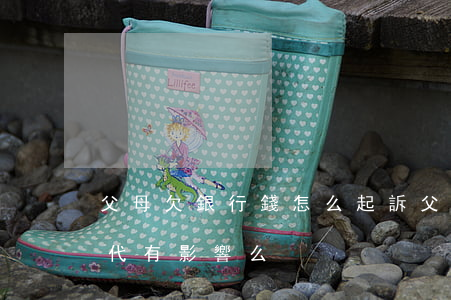 父母欠銀行錢怎么起訴(父母欠銀行錢 對下一代有影響么)